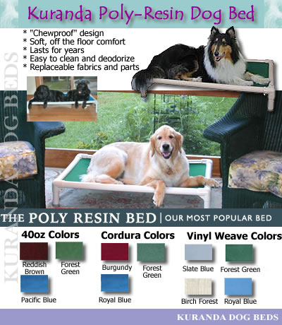  Wetting  on Chew Proof Dog Bed   Dog Collars And Supplies