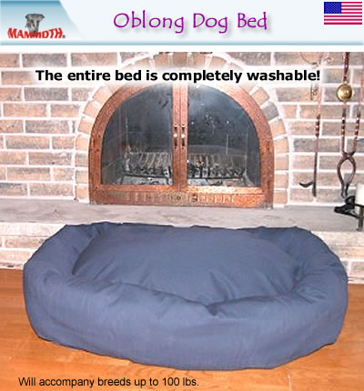 Large  Beds  Bolster on Where Can I Buy A Extra Large Extra Dog Bed  At Imshopping