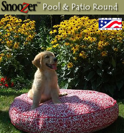 Outdoor  on Snoozer Pool   Patio Outdoor Dog Bed