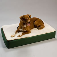 Extra  Beds  Sale on Lounge Dog Bed Snoozer Super Ortho Lounge Dog Bed Price   119 00 Sale